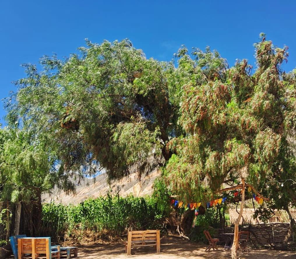Cabanas Apu Maimará エクステリア 写真