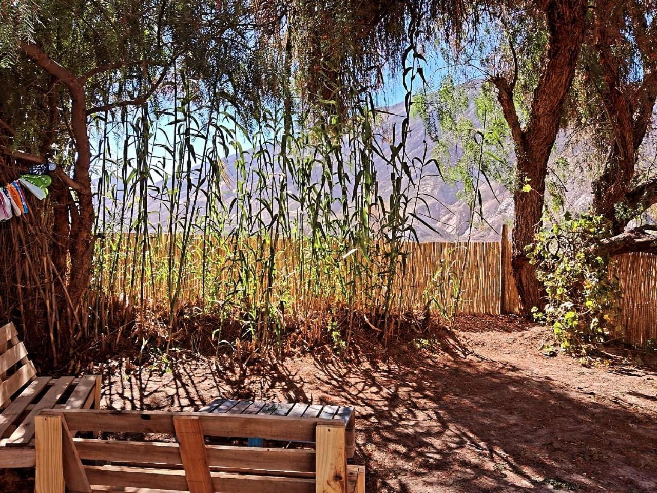 Cabanas Apu Maimará エクステリア 写真