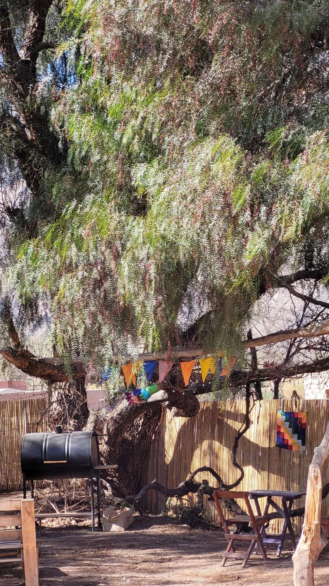 Cabanas Apu Maimará エクステリア 写真